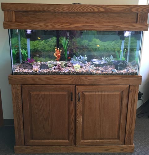 Aquarium on wooden stand on display in the Higbee Family Dentistry lobby in Eugene, Oregon.